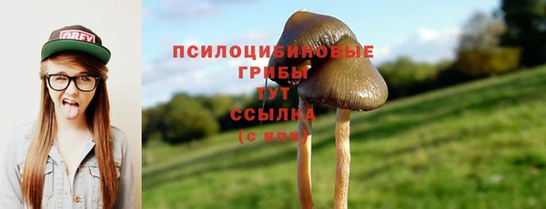 MESCALINE Вязники