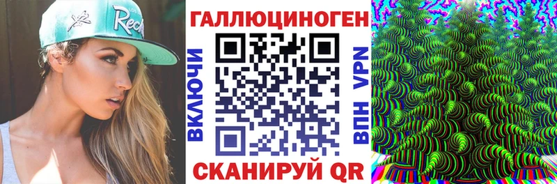 закладки Зерноград Псилоцибиновые грибы Magic Shrooms