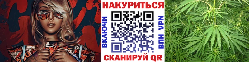 Каннабис Amnesia  Зерноград 